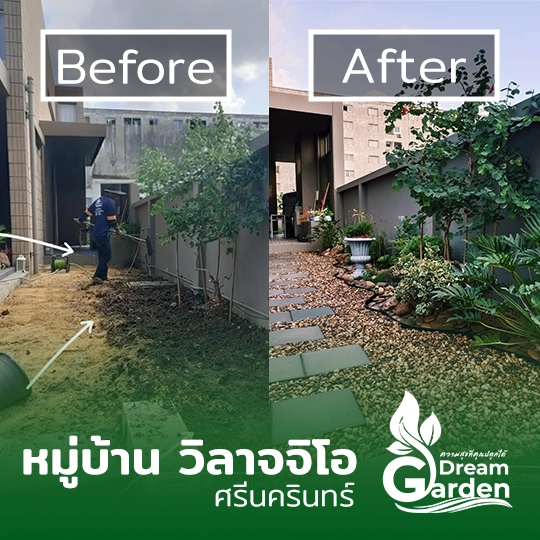 ผลงานรับจัดสวนบ้านเดี่ยว สมุทรปราการ