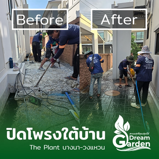 ผลงานปิดโพรงใต้บ้าน