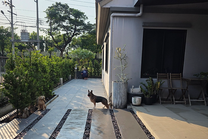 ผลงานปิดโพรงใต้บ้าน